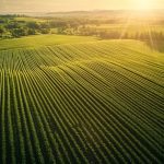 Géomatique en agriculture : Utilisation des cartes pour l’agriculture de précision.