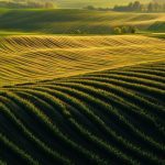 Géomatique et agriculture : comment travailler dans le secteur agricole ?