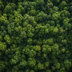 Télédétection et analyse spatiale : comprendre les enjeux et les applications